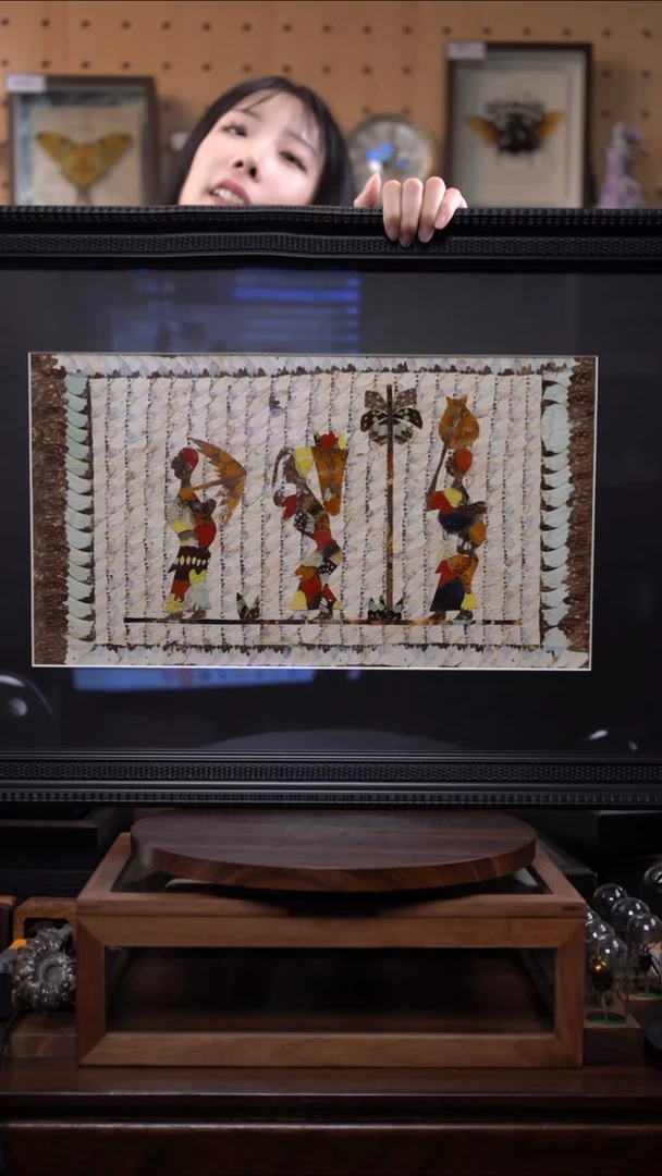 蝴蝶翅膀蝶翅画竞拍b112