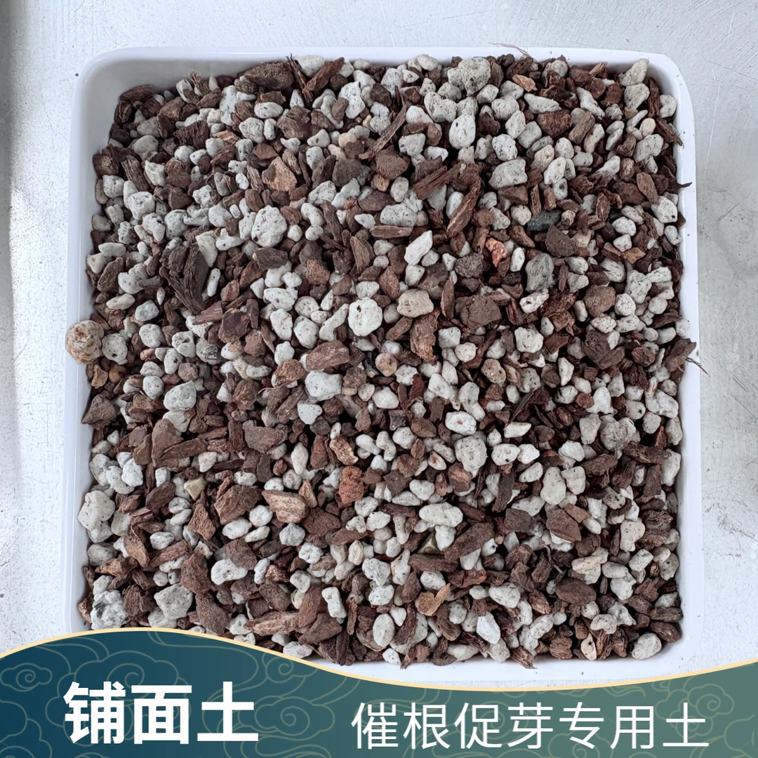 兰花促根促芽铺面土护茎土芦头料美观干净清爽无菌害盆栽专用土