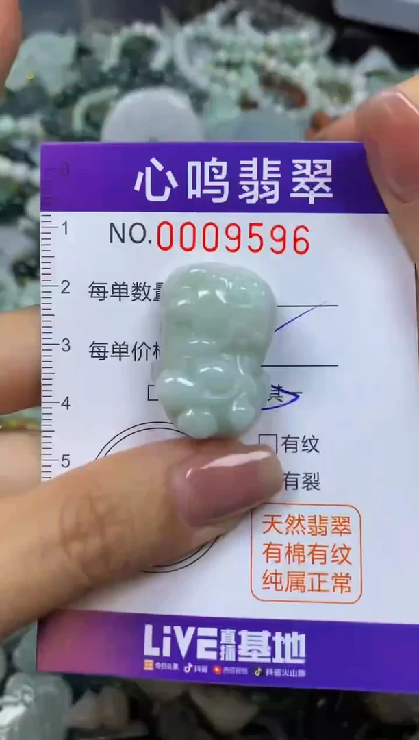 翡翠未镶嵌颈饰闪购009596