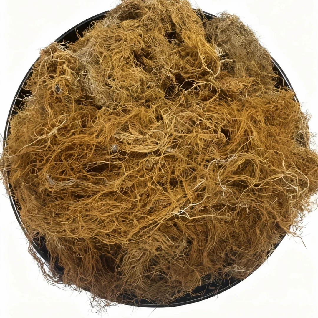 手工精选金丝红雪茶-双11狂欢-泡水益身茶