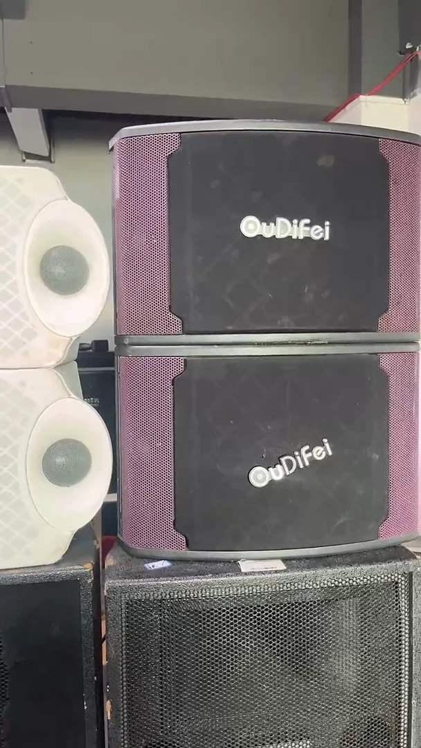 不包邮 10寸卡包音响 KTV音箱一对 运费到付