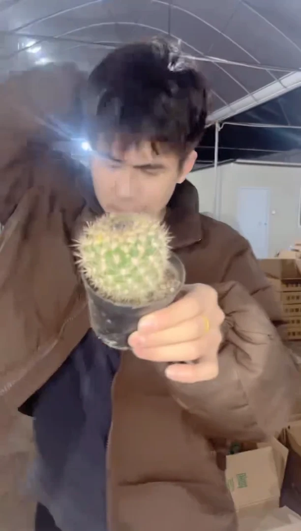 【闪购商品】实生根 花 立