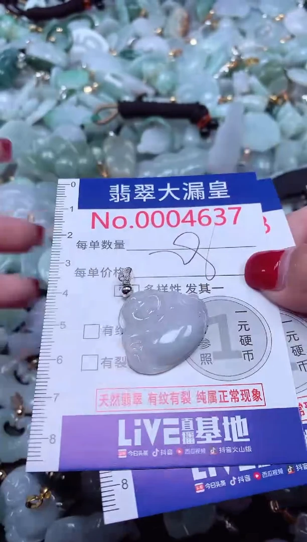 颈饰未镶嵌翡翠4637