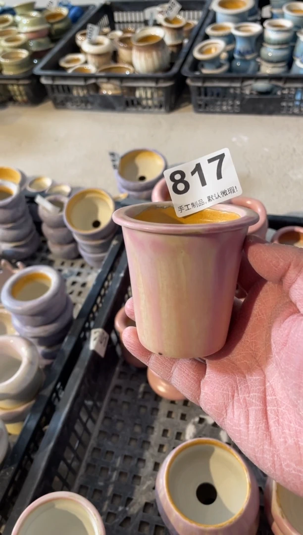 瓷片817小芳直播编号