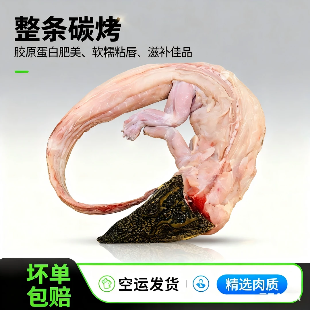 中秋 【整条直播现称】 新鲜现杀人工带皮鳄鱼红烧火锅碳烤宴请送礼
