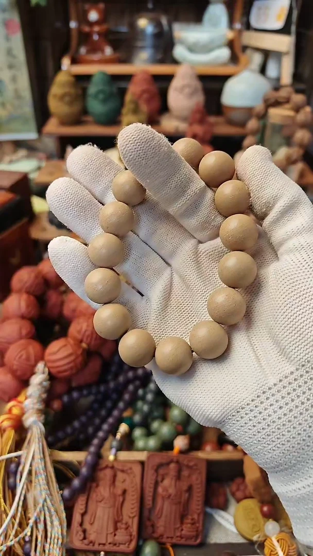 【闪购商品】白龙涎1.5尺寸体验款一条