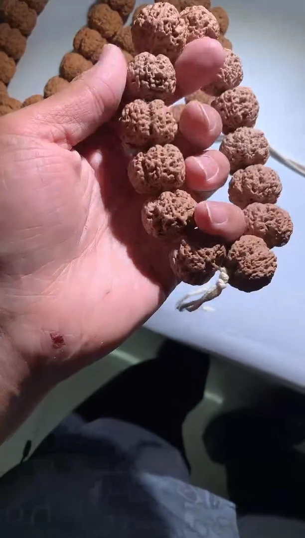 金刚菩提手串730
