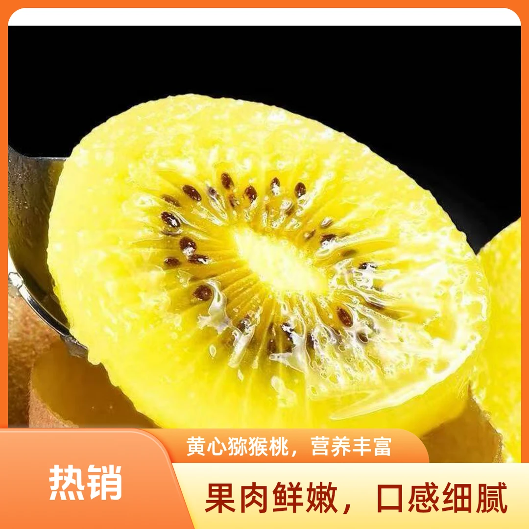 【湘西高山】黄心金艳猕猴桃奇异果新鲜水果现摘现发香甜多汁