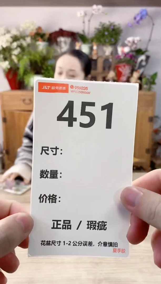 小玩子花盆直播编号451