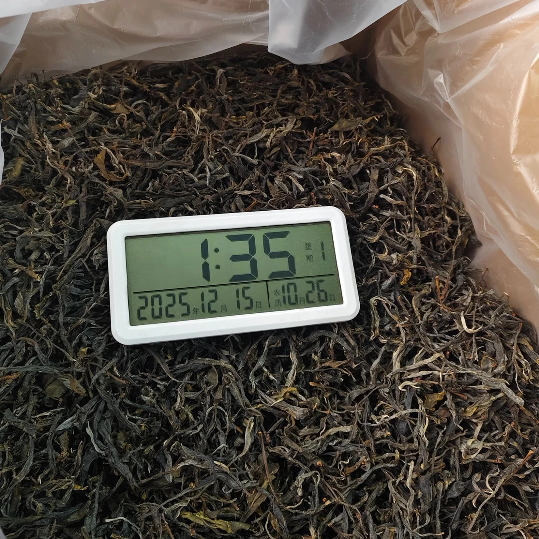 【2037号】2025年小户赛古树单株7kg 春  普洱茶生茶 12月14日