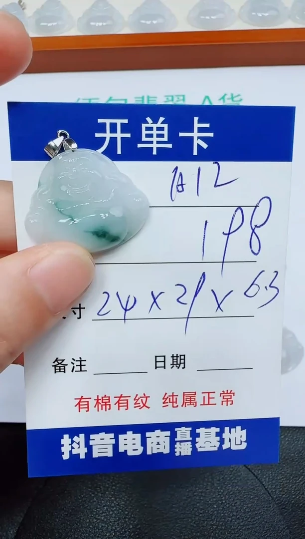 翡翠未镶嵌吊坠(赠链)A12