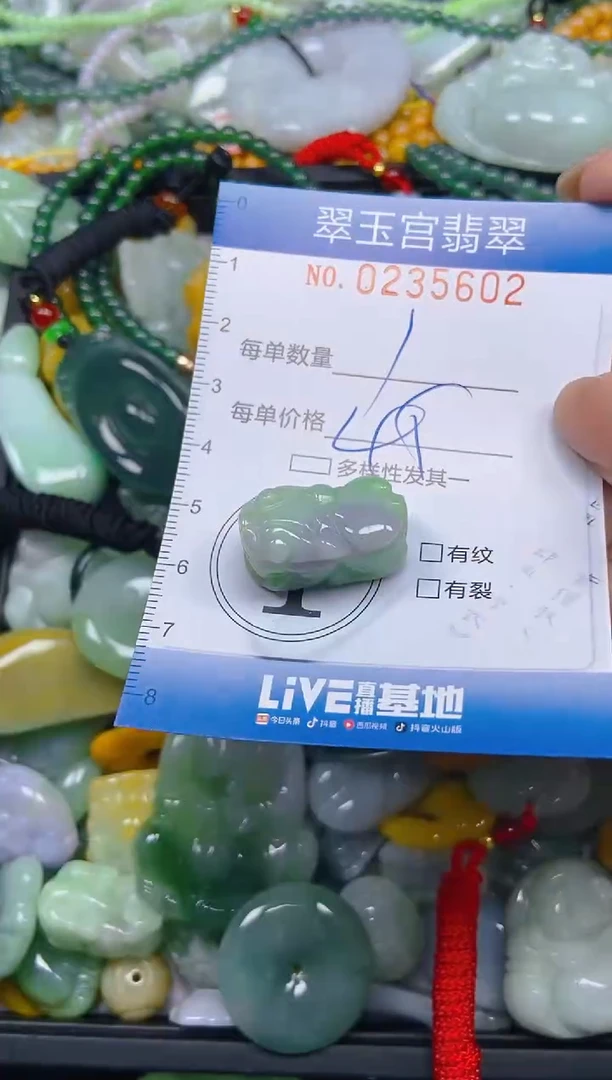 颈饰未镶嵌翡翠闪购C0235602