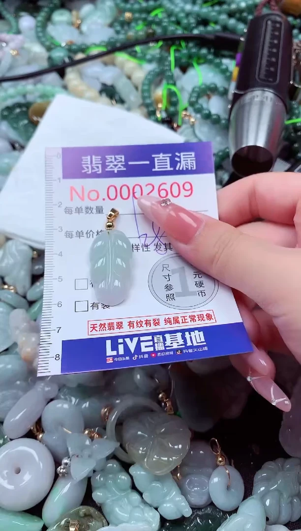 翡翠未镶嵌吊坠(不含链)2609