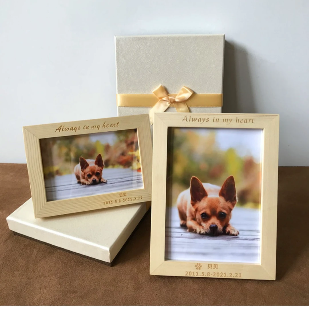 相册定金(拍前联系客服)