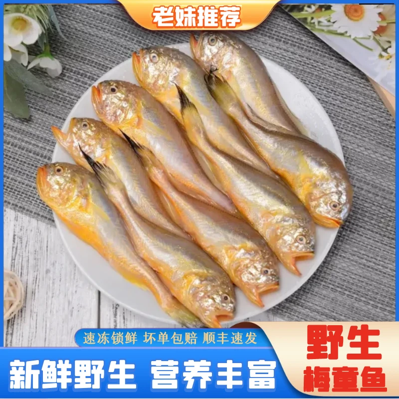 【老妹海鲜】梅童鱼梅子鱼大头宝野生 新鲜速冻直播16-20条/斤共4斤