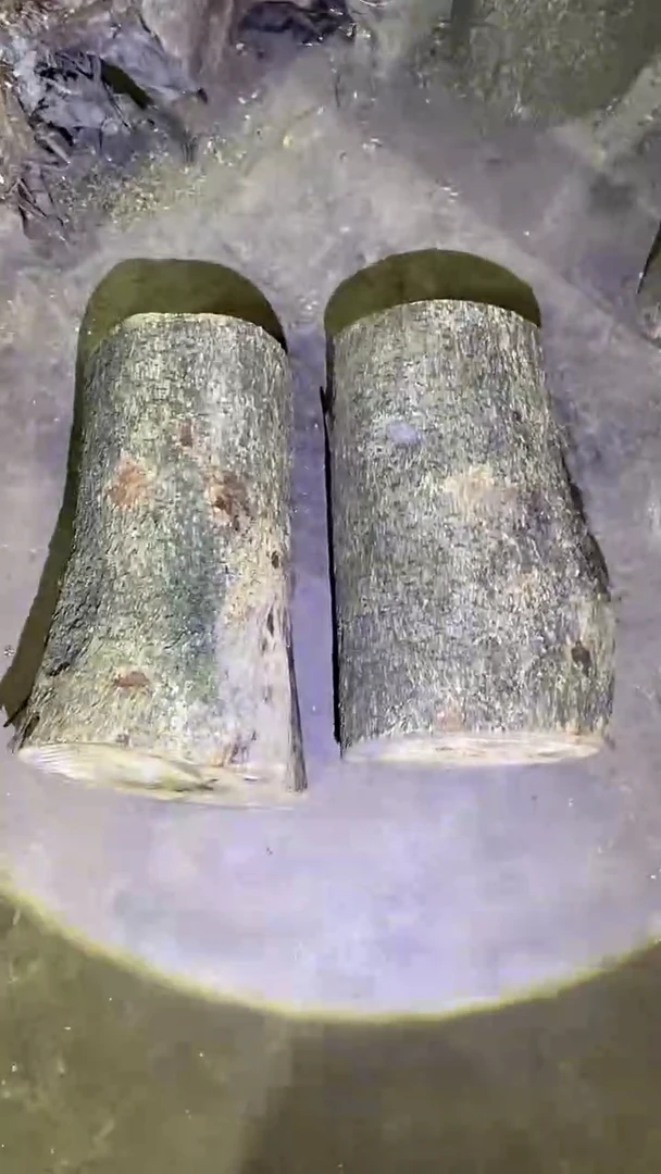 鸿*小叶桢楠金丝楠木