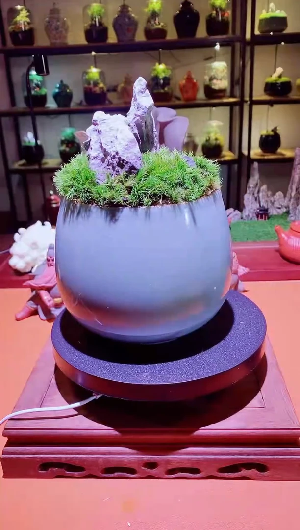 吉鑫福利精选福力