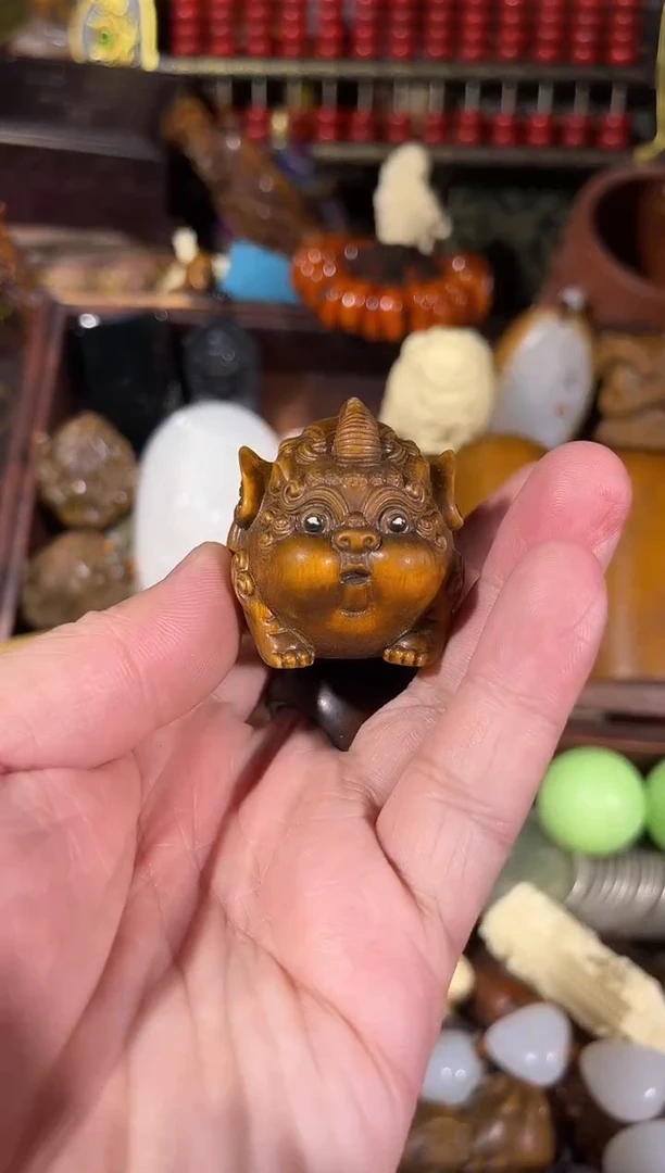 黄杨木11111111111111111111