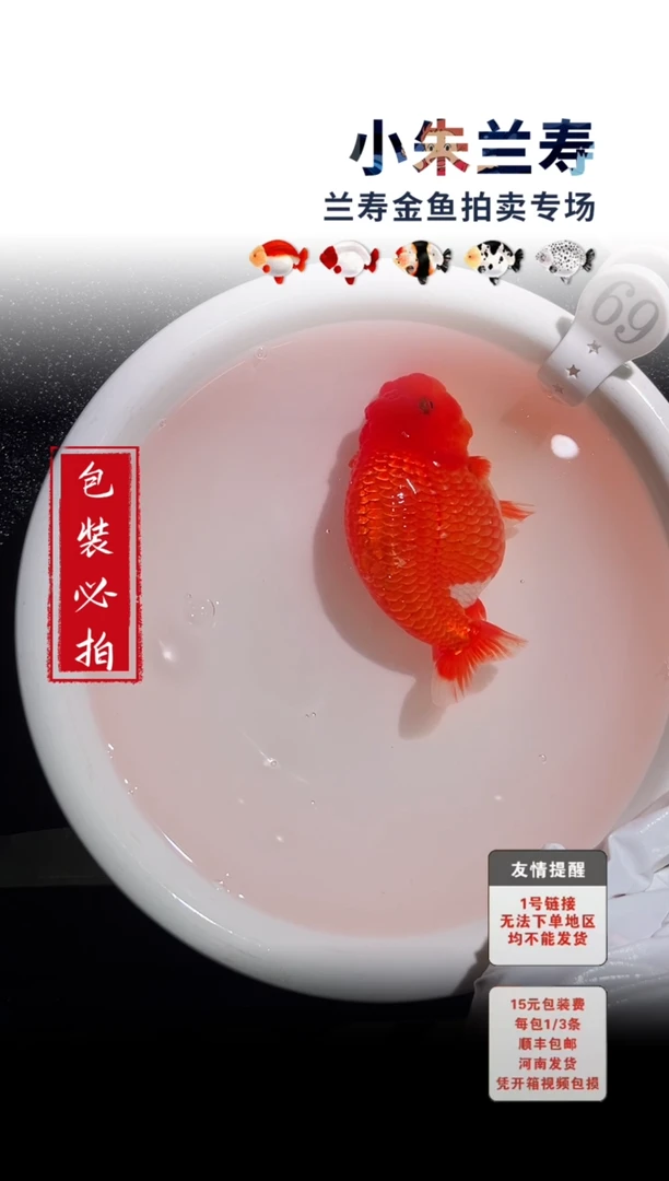 金鱼包装必拍未拍顺丰到付69号