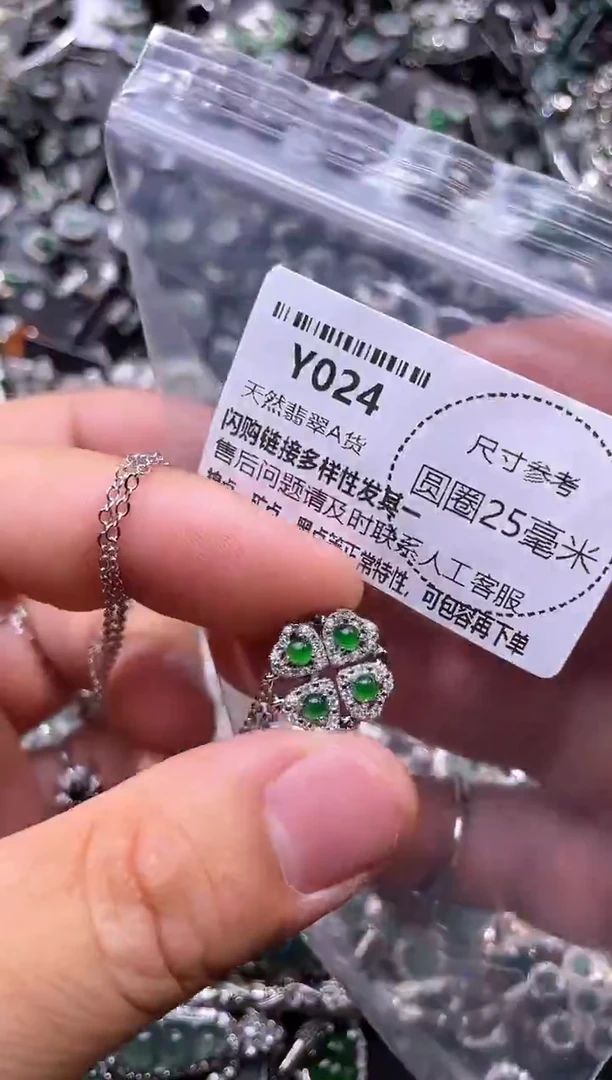 翡翠未镶嵌颈饰Y024项链