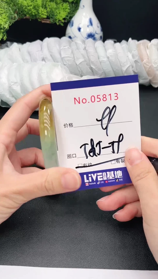未镶嵌手镯翡翠5813