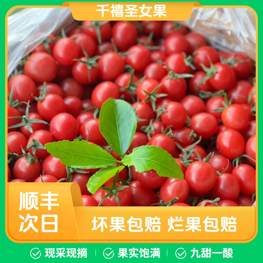 【千禧圣女果】杨小番严选精品小番茄2-4斤现摘现发自然成熟果肉饱满顺丰包邮新鲜千禧圣女果内蒙古自治区