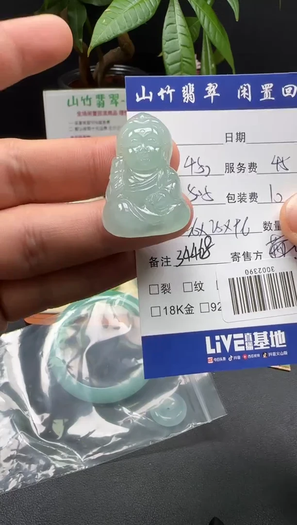 颈饰未镶嵌翡翠3002444