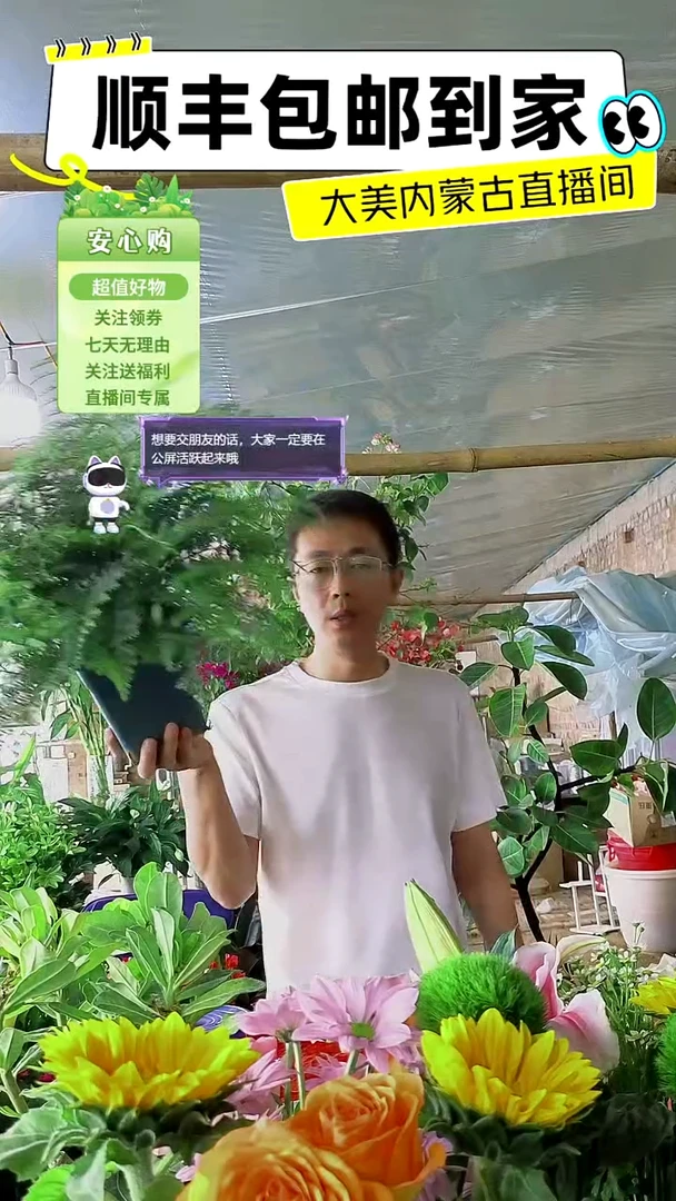 完全开放加仑盆吉姆蕨