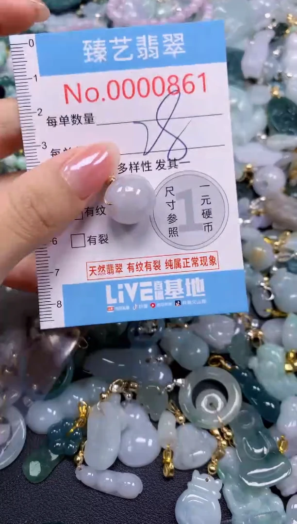 颈饰未镶嵌翡翠861