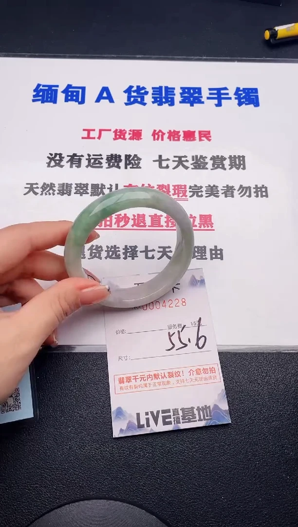 未镶嵌手镯翡翠28
