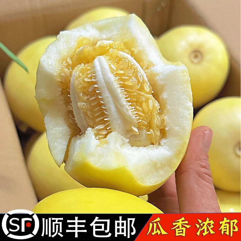 【顺丰快递】山东小蜜蜂甜瓜蜜罐香瓜纯甜现摘现发原产地