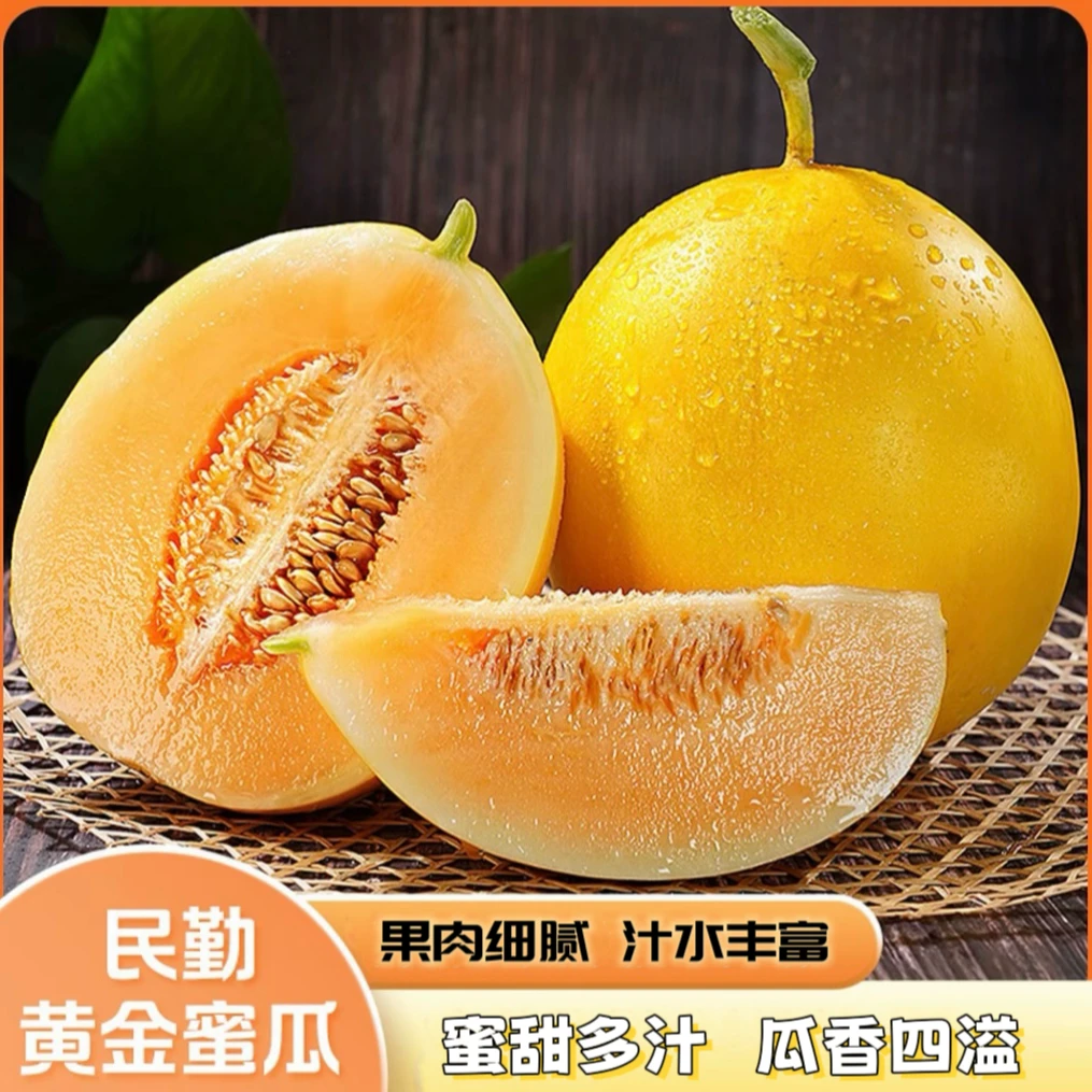民勤蜜瓜香甜多汁皮薄肉厚瓜香四溢新鲜现摘甜瓜应季水果