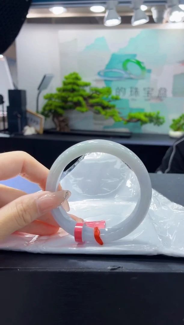 未镶嵌手镯翡翠4