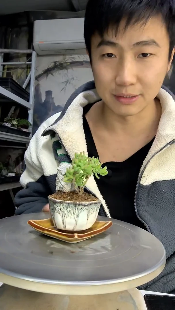 哈**哈中青园艺一物一拍花463