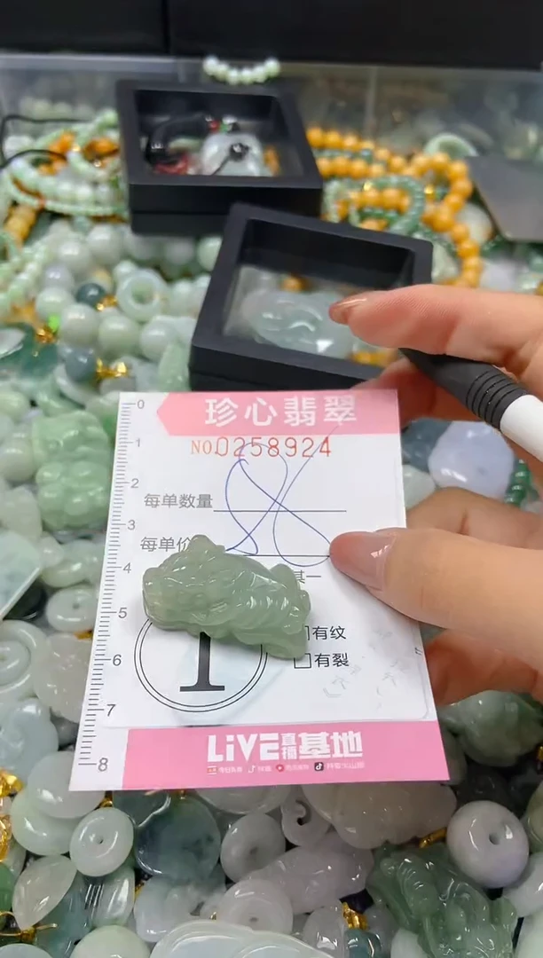 翡翠未镶嵌颈饰闪购0258924