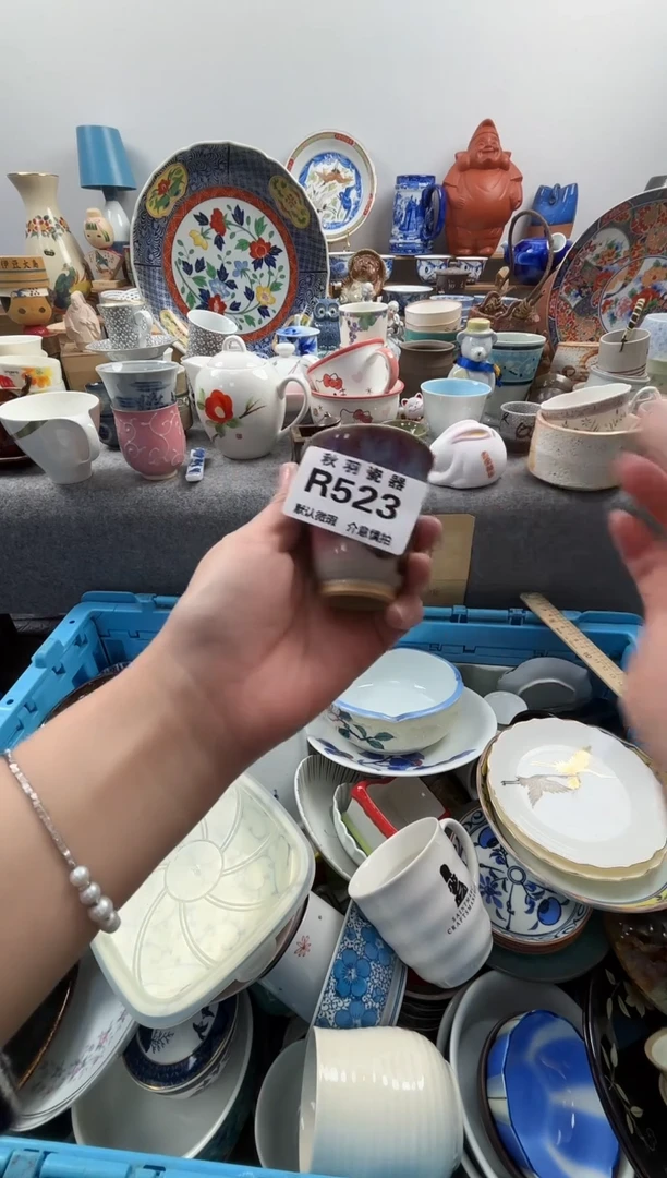 日式悦*默认微瑕秋羽R523