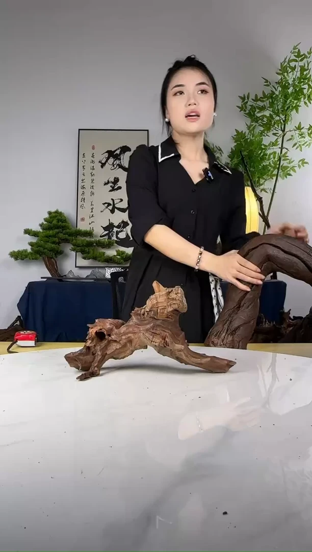 多****理拍这个定向编号83