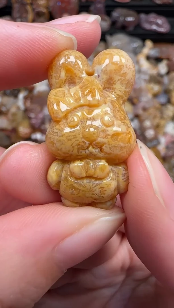 颈饰未镶嵌硅化珊瑚（珊瑚玉）716