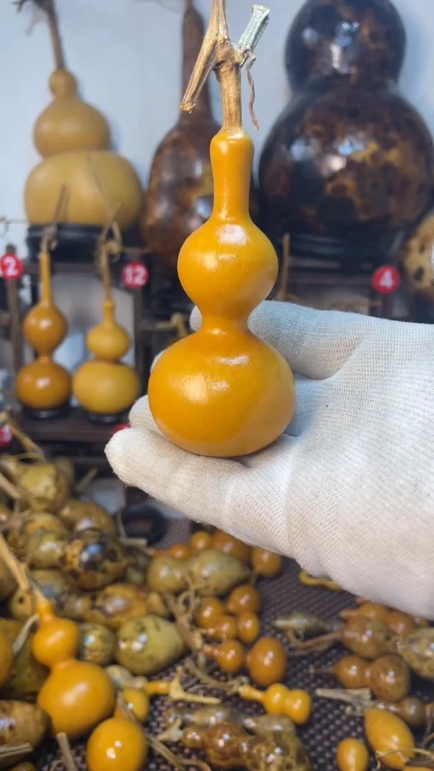 【闪购商品】葫芦葫芦葫芦葫芦