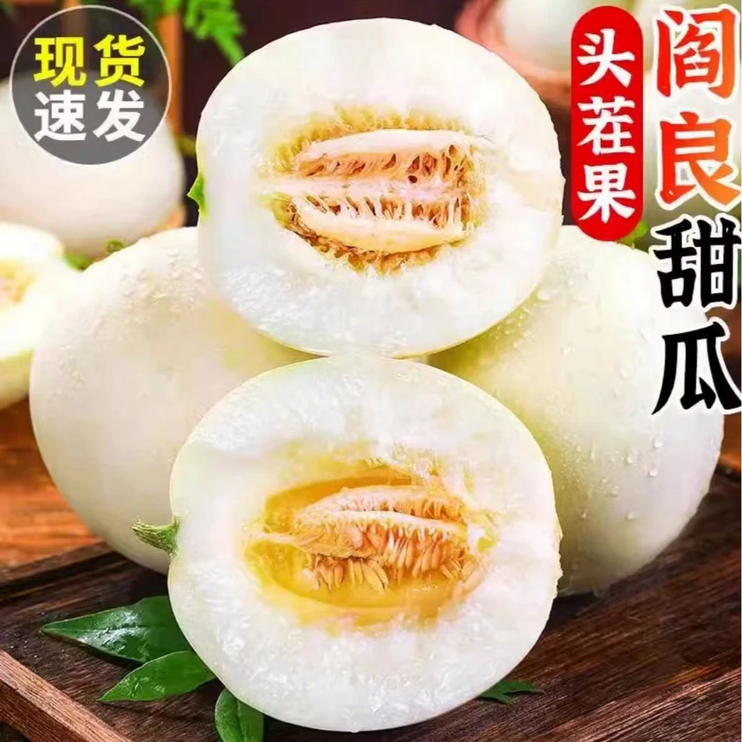 【阎良甜瓜】陕西阎良小籽甜瓜软糯香甜现摘现发头茬应季水果