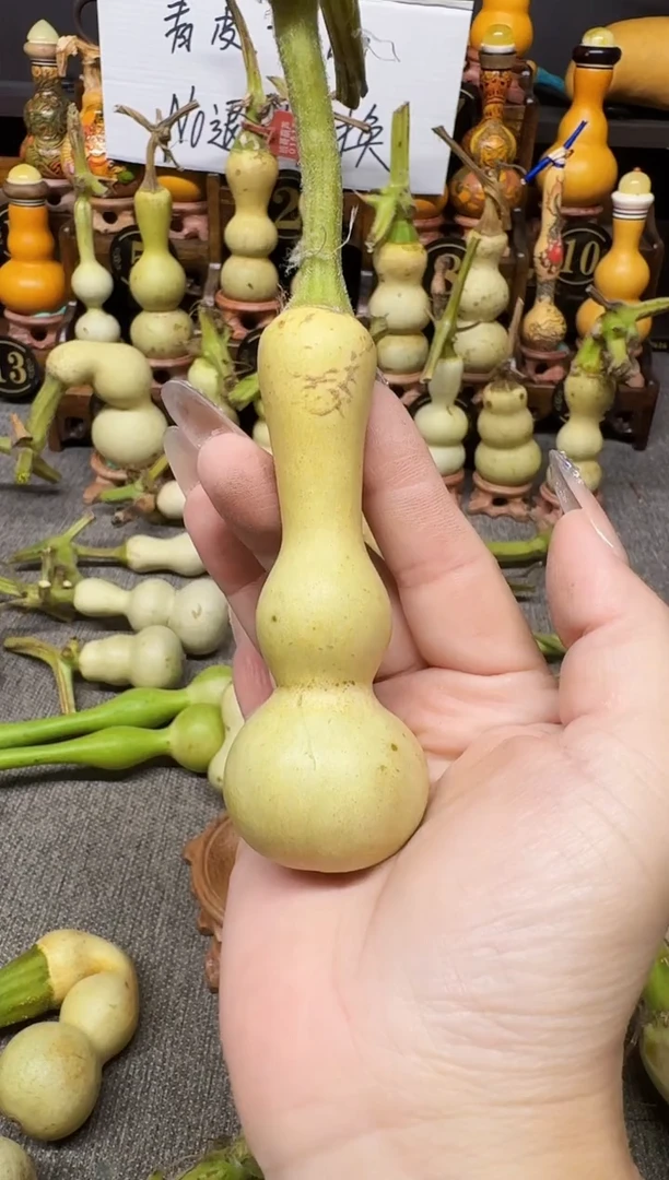 唐*高端葫芦高端客户