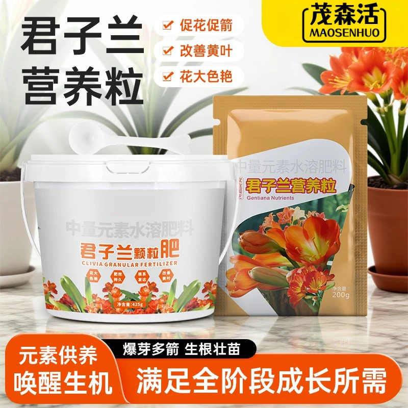 【君子兰专用肥】营养粒抽箭促花叶片光泽颗粒缓释营养颗粒有机肥料