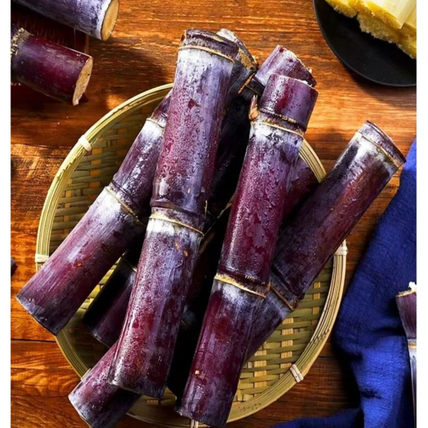 (福利小条甘蔗超甜）广西黑皮甘蔗新鲜现发多汁脆甜9斤包邮精选