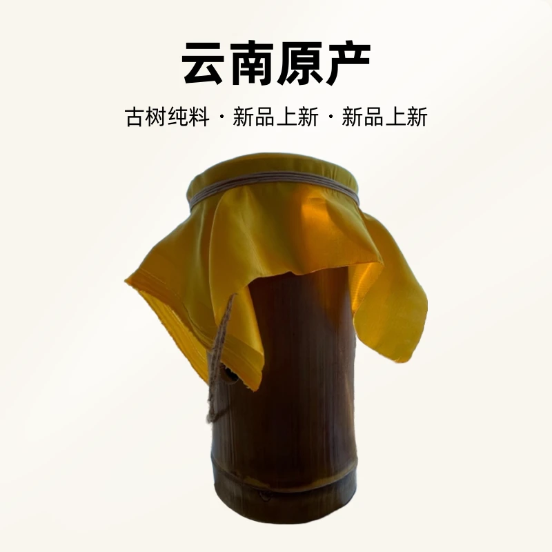 星火推荐～2019年古树纯料，竹筒生茶