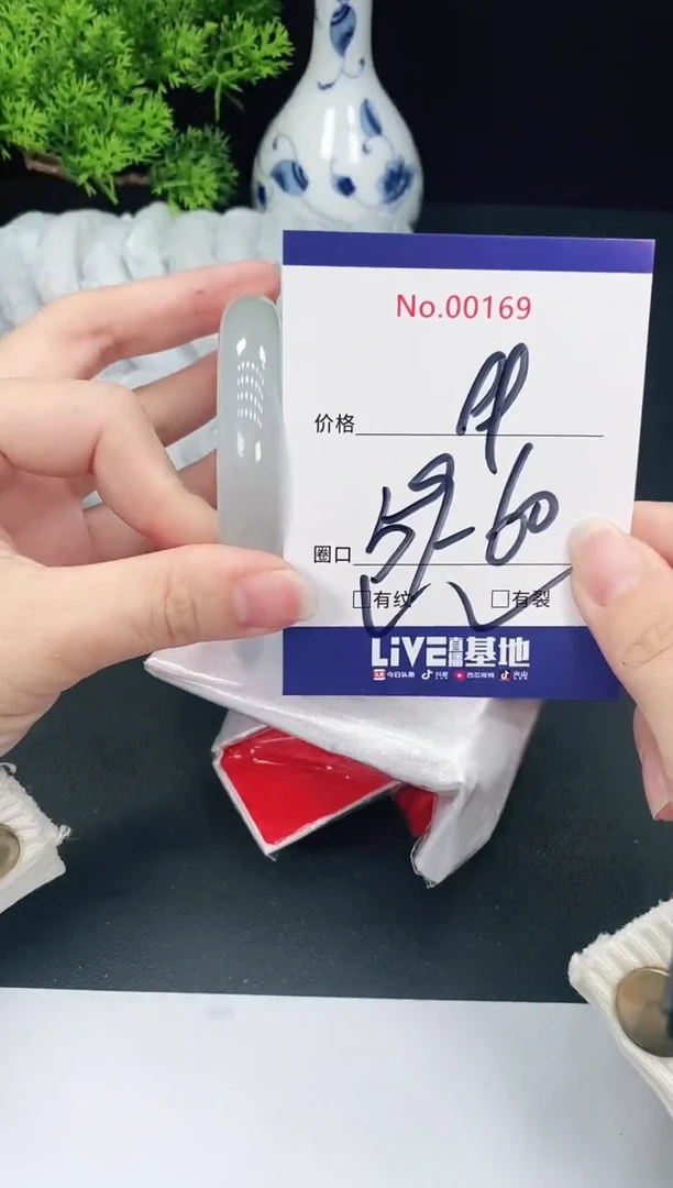 未镶嵌手镯翡翠169