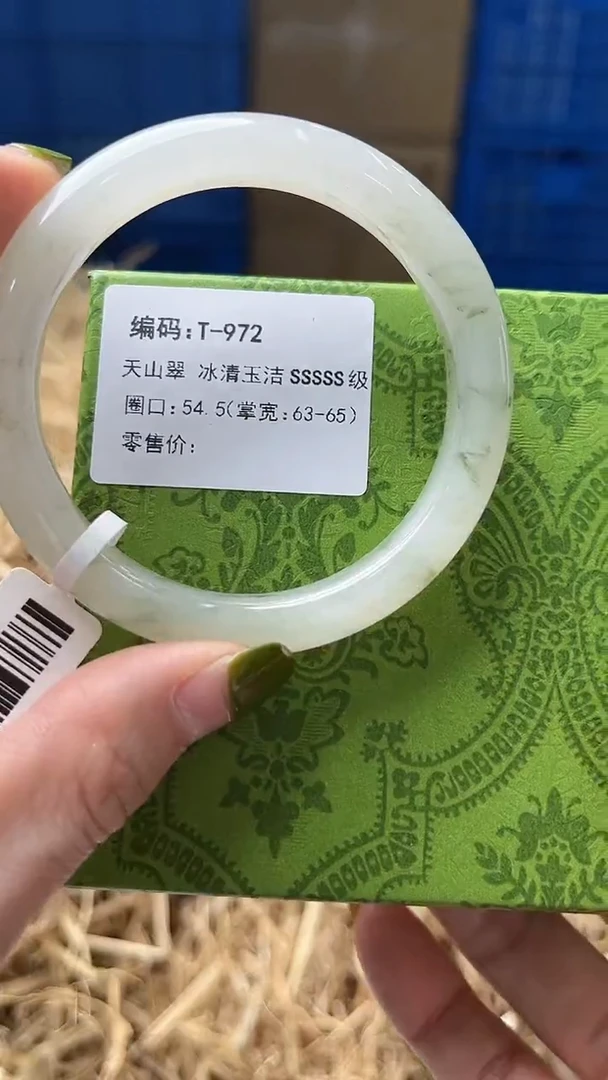 未镶嵌手镯石英质玉T-972