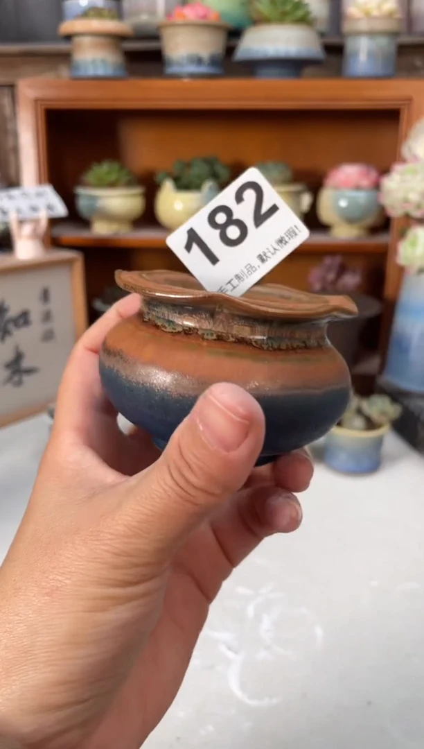 瓷片182小芳直播编号