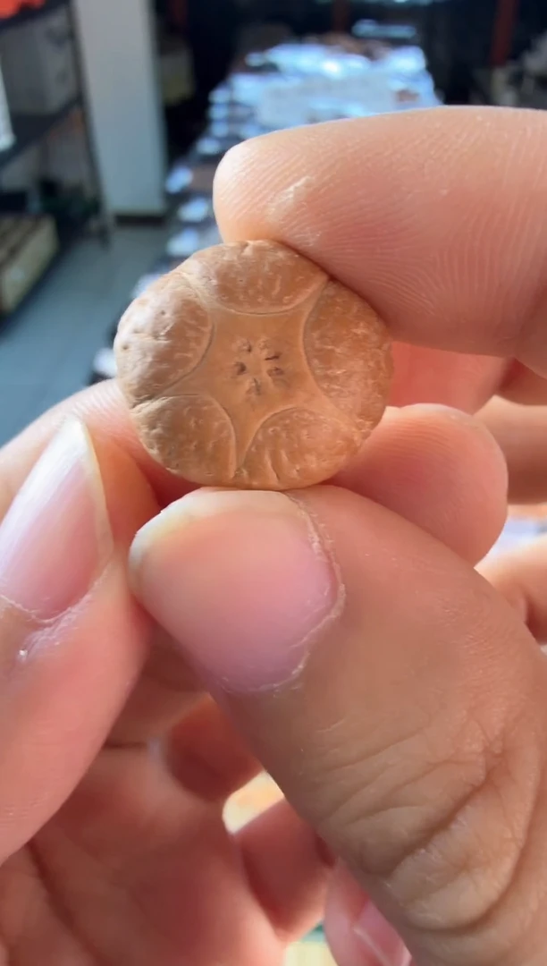 吊坠凤眼菩提3677