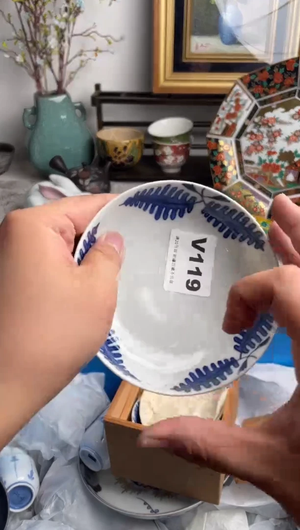 瓷片是***?119-V-