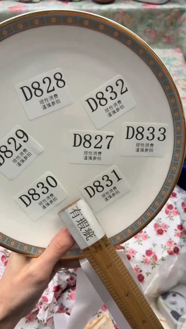 瓷片       D832